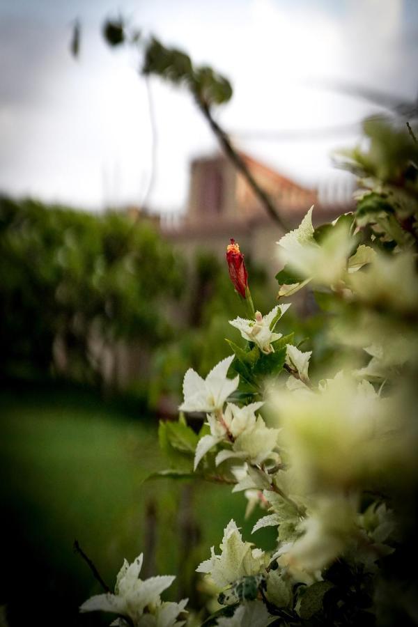 Mvt Guesthouse & Restaurant วรินดาวัน ภายนอก รูปภาพ